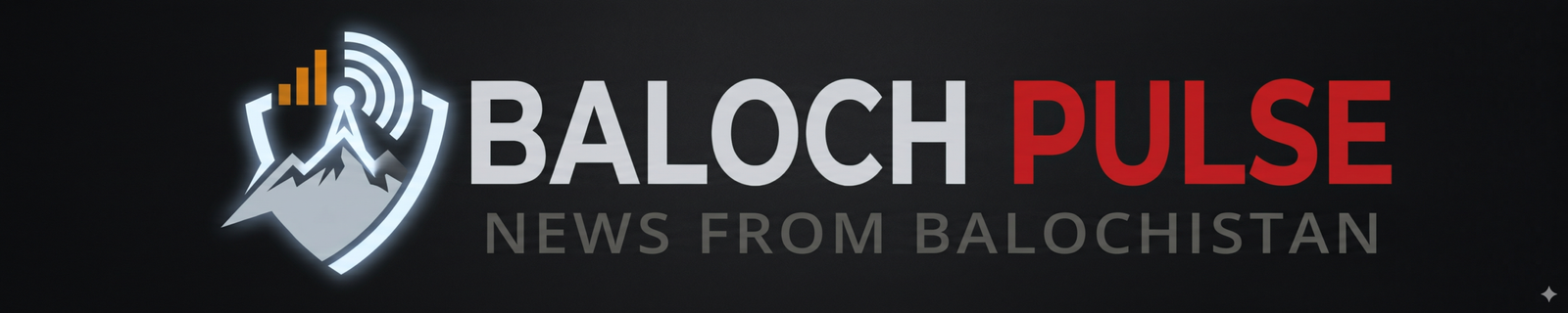 Baloch Pulse